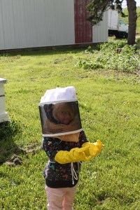 My niece, Isabel, finds the bees fascinating. 