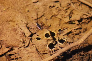 Christmas and Carely 137