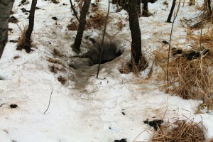 Books, skiing, Schmoker's 100