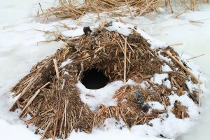 Books, skiing, Schmoker's 157