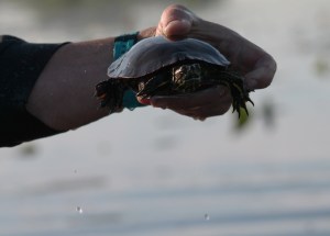 Potatoes and Canoe 216