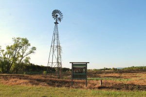 snapping-turtles-088