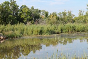 honey-and-canoeing-128