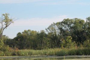 honey-and-canoeing-141