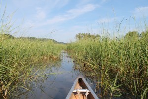 honey-and-canoeing-163