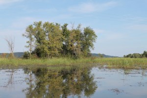 honey-and-canoeing-168