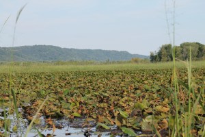 honey-and-canoeing-178