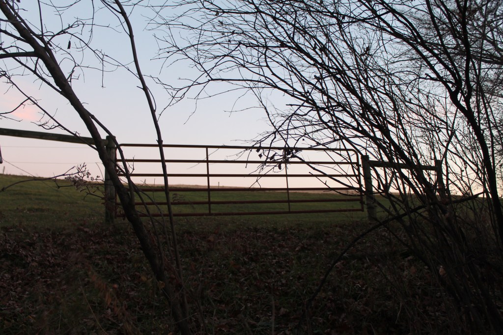 An Escape to the&nbsp;Woods