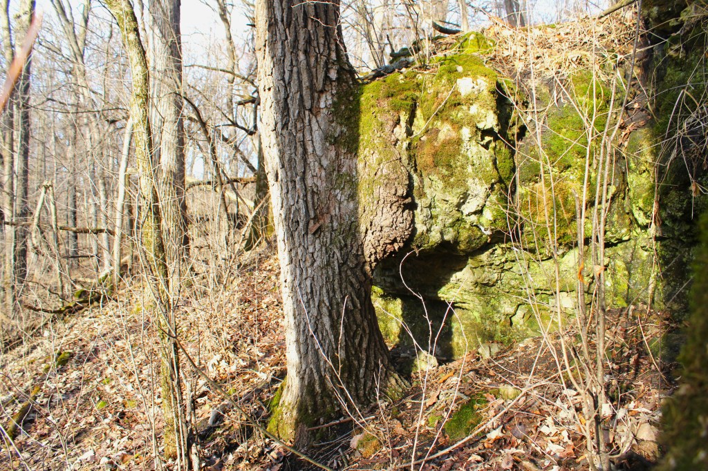 March Musings and&nbsp;Wanderings